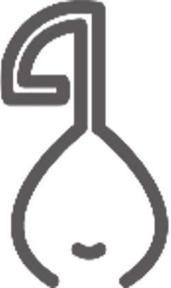 Lute Logo